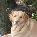 Rhonda Fields - @rhonda.fields.33 - Instagram