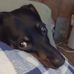 Rhonda Fuller - Facebook
