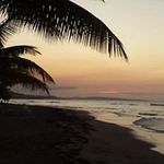 Ronda Greenwood - @rondagreenwood - Instagram