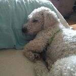 Ronda Harrison - @ronda.harrison.16 - Instagram