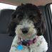 Ronda Kramer - Facebook