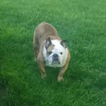 Rhonda Manning - @rhonda_manning05 - Instagram