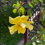 Rhonda Manning - @rhonda.manning.144 - Instagram