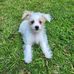 Ronda Manning - Facebook