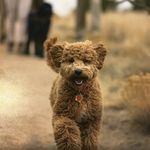Ronda Mccarthy - @mccarthyronda - Instagram