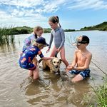 Beyond 4 Walls - @artinthebarn_rondameyer - Instagram