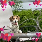 Rhonda Patterson - Facebook