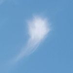 Rhonda Pearson - @rhonda.pearson - Instagram