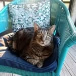 Ronda Ritchie - @rondaritchie62 - Instagram