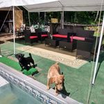 Rhonda Porter Sinclair - @rhonda.portersunclair - Instagram