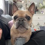 Ronnie Benson - @ronniebenson - Instagram