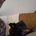 Ronnie Collins - Facebook