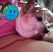 Roni Conn - Facebook