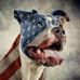 Ronnie Crowe - Facebook