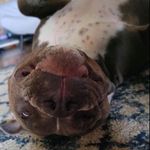 Ronnie - @ronnie.damron.52 - Instagram