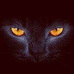 Ronnie Daniel - @ronnie.daniel.75033 - Instagram
