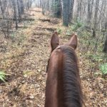 Ronnie Boston Daugherty - @ronnie.b.daugherty - Instagram