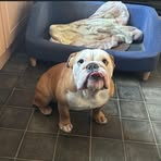 Ronnie Dennison - Facebook