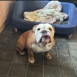 Ronnie Dennison - @ronsterden23 - Instagram