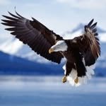 Ronnie Doss - @ron1955usa - Instagram