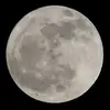 ronniedriver106 - @ronniedriver106 - TikTok
