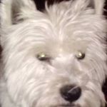 Ronnie Duffy - @duffy_ronnie - Instagram