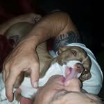 Ronnie Eades - @ronnieeades - Instagram