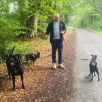 Ronnie Francesca Eddy - @the.tree_musketeers - Instagram