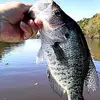 Ronnie Ennis - @ronnie.ennis - TikTok