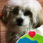 Ronnie Estes - Facebook
