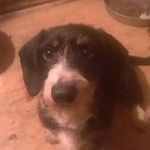 Ronnie Garner - @southernheritagehornworks - Instagram