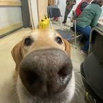 Ronnie Grant - @grant231347 - Instagram