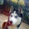 Ronny Grantham - @ronny.grantham - TikTok