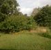 Ron Guyton - Facebook