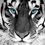 ronnie blatch - @ronniehacker123 - Instagram