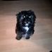 Ronnie Hannah - Facebook