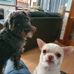 Ronnie Hannah - Facebook