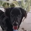 Ronnie Hardrick - @ronnie.hardrick2 - TikTok