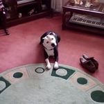 Ronnie Harrison - @ronnie.harrison.1940 - Instagram