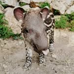 Ronnie Hatton - @ronniehatton1970 - Instagram
