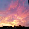 Ronnie Haynes!! - @ronnie.haynes3 - TikTok