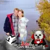 ronniemeihofer - @ronniemeihofer - TikTok