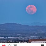 Ronnie Hoffman - @ronnie.hoffman - Instagram
