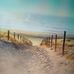 Ron Holifield - Facebook