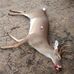 Ronnie F Holifield - Facebook