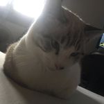 Ronnie Joyce - @ronniejoyce08 - Instagram
