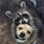 Ronnie Kiser - @kiserkraft - Instagram