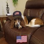 Ronnie Lampley - @rlampley324 - Instagram