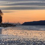 Ronnie Levine - @a_painters_photos - Instagram