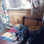 Ronnie Linkous - Facebook